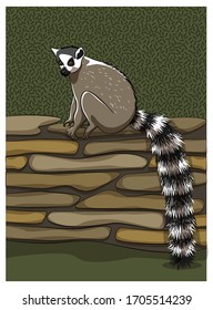 Lemur mit einem langen Schwanz. Vektorillustration