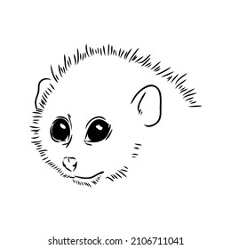 Lemur Loris on a tree vector illustration, hand drawn sketch, black and white. Ink pen cute lori chinese animal sitting on a tree.