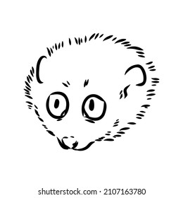 Lemur Loris on a tree vector illustration, hand drawn sketch, black and white. Ink pen cute lori chinese animal sitting on a tree.
