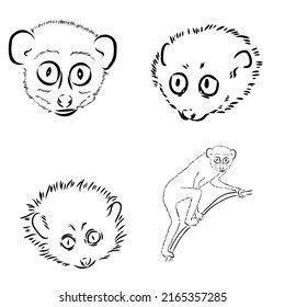 Lemur Loris on a tree vector illustration, hand drawn sketch, black and white. Ink pen cute lori chinese animal sitting on a tree.