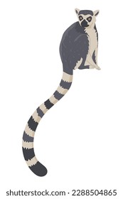 Lemur is a member of the order of primates. A semi-monkey living in Madagascar. Images for nature reserves, zoos and children's educational paraphernalia. Vector illustration. Isolated object.