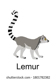 Lemur monkey vector illustration isolated on white background. Funny animal. Ring tail lemur symbol.