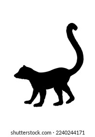 Lemur monkey vector silhouette illustration isolated on white background. Funny animal. Ring tail lemur symbol. Madagascar exotic monkey shape shadow.