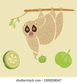 lemur on the tree