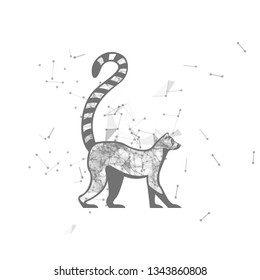 lemur.  Polygonal wireframe lemur silhouette. low poly vector illustrations on background of points and lines.