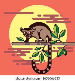Lemur sits on a tree against the sunset
