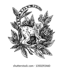 Lemur standing on branch of flowering tree. Sketch. Engraving style. Vector illustration.