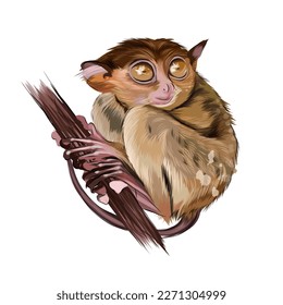 Lemur tarsier sitting on a branch from multicolored paints. Splash of watercolor, colorful drawing, realistic. Vector illustration of paints