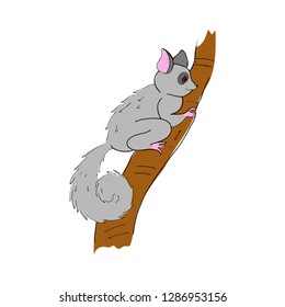 Lemur vector hand-drawn illustration of a gray lemur with a fluffy tail on a tree, cartoon lemur, vector illustration isolated on white background for your design