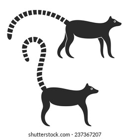lemur vector illustration. Isolated lemur on white background