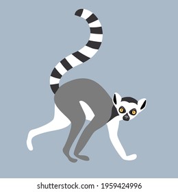 Lemur. Wild animal. Vector simple flat illustration 