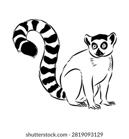 Lemur, a wild animal, vector sketch.