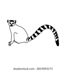 Lemur, a wild animal, vector sketch.