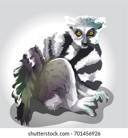 Lemur, wild animals, exotic, on a white background.Vector illustration