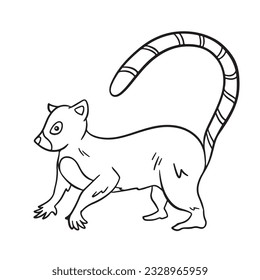Lemur wild animals vector illustration outlined isolated on square white background. Simple flat side view cartoon drawing.