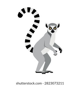 ​Ring-Tailed Lemur Wildlife Vector Illustration