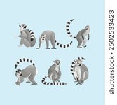 Lemurs Primate Simple Flat Vector Set