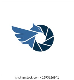 lens bird logo vector design