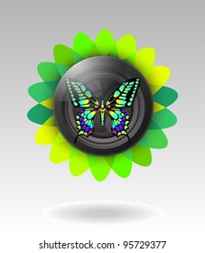 lens with butterfly. vector illustration