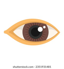 Vector plano del icono del ojo de la lente. Mirar la visión. Aislado óptico humano