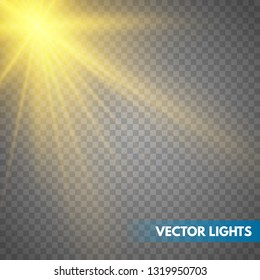 Lens flare light effect. Sun rays with beams . Vector illustration EPS10