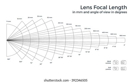 Lens focal length vector flat illustrations. Different focal distances vector table in graphic lines, area captured by DSLR, SLR cameras. Lens with a long focal length