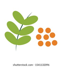Linsenflaches Symbol auf weißem Hintergrund. Sie können das Linsensymbol für mehrere Zwecke verwenden.