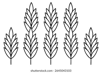 Lentil leaf line art illustration for nature lovers