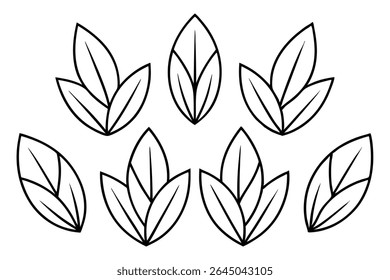 Lentil leaf line art illustration for nature lovers