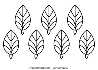 Lentil leaf line art illustration for nature lovers