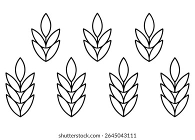 Lentil leaf line art illustration for nature lovers