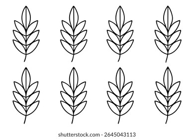 Lentil leaf line art illustration for nature lovers