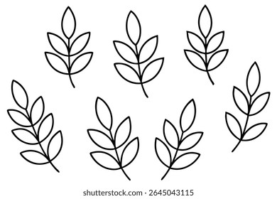 Lentil leaf line art illustration for nature lovers