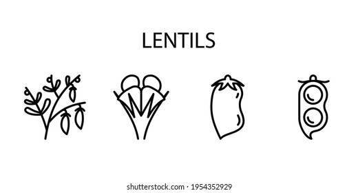 Lentil Line Icon In A Simple Style. A set of vector icons in a simple style, isolated on a white background. 64x64 pixel