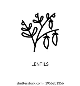 Lentil Line Icon In A Simple Style. Vector sign in a simple style isolated on a white background. 64x64 pixel.