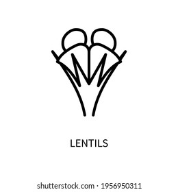 Lentil Line Icon In A Simple Style. Vector sign in a simple style isolated on a white background. 64x64 pixel.