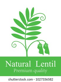 Lentil logo. Isolated lentil on white background
