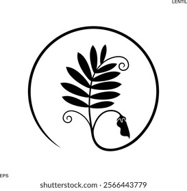 Lentil logo. Isolated lentil on white background