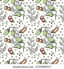 Linsenpflanze und Bohnen nahtloses Muster. Hintergrund mit Hülsenfrüchten. Vektor Rapport mit Getreideernte wiederholen, gesundes Essen. Hintergrund mit Blättern, Linsenzweig für Design, Verpackung, Verpackung