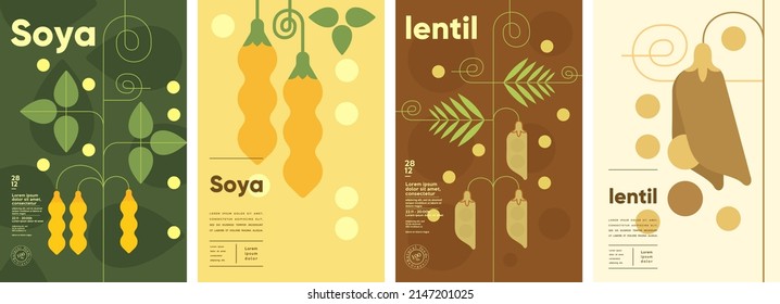 Lentil. Soya. Set of vector illustrations. Label design, price tag, cover design. Backgrounds and patterns. 