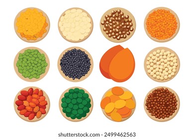 Lentils Color Art Illustration Showcase