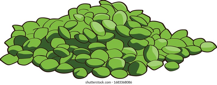 Lentils, Green, White Background, Illustration Vector