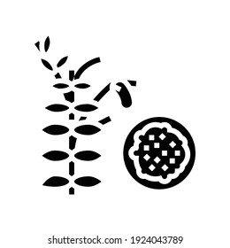 lentils groat glyph icon vector. lentils groat sign. isolated contour symbol black illustration