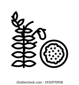 lentils groat line icon vector. lentils groat sign. isolated contour symbol black illustration