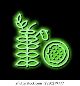 lentils groat neon light sign vector. lentils groat illustration