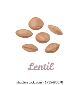 Lentils Isolated On White Background. Grains Of Brown Lentils. Vector Illustration Of Legumes In Cartoon Flat Style. Icon.