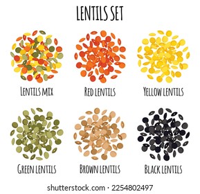 Lentils set with Red, Yellow, Green, Brown and Black lentils. Natural organic food collection. Vector cartoon isolated illustration.