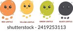lentils set,cute lentils vector isolated, vegan protein,