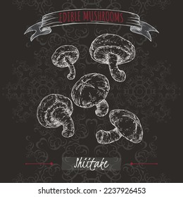 Lentinula edodes aka shiitake sketch on black background. Edible mushrooms series. Great for cooking, traditional medicine, gardening.