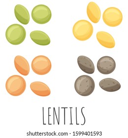 Lentis in different colors vector set, isolated cartoon style illustration.